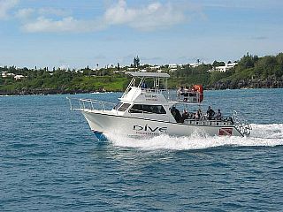 Newton Boats Dive Special 42
