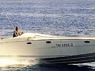Barracuda Cruiser Sport Baguette 510